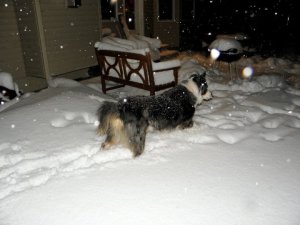 Beckett in the snow drift